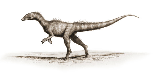 Il possibile aspetto del Dracoraptor hanigani (Immagine David M. Martill, Steven U. Vidovic, Cindy Howells, John R. Nudds)
