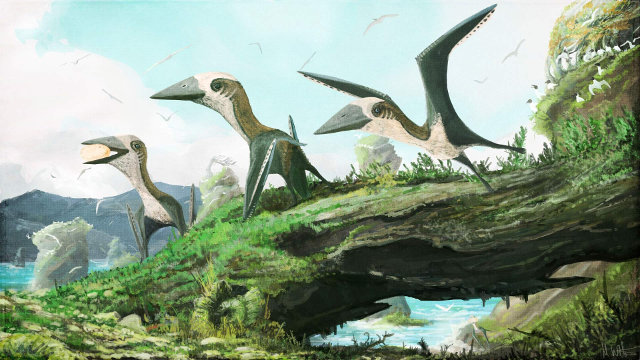 Ricostruzione degli pterosauri azhdarchidi scoperti in Canada (Immagine cortesia Mark Witton)