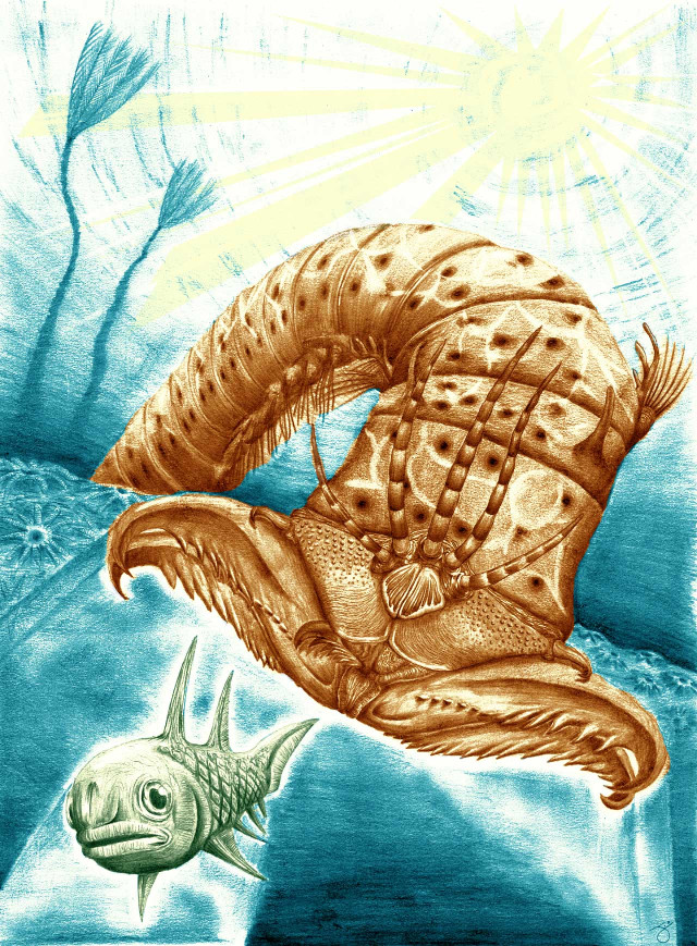 Ricostruzione di un Websteroprion armstrongi che attacca un pesce (Immagine cortesia James Ormiston)