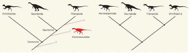 Vecchia e nuova classificazione dei dinosauri (Immagine cortesia Nature)