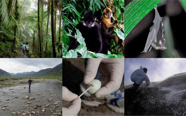 Alcuni ambienti in cui sono stati prelevati microbi