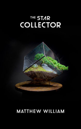 The Star Collector di Matthew William