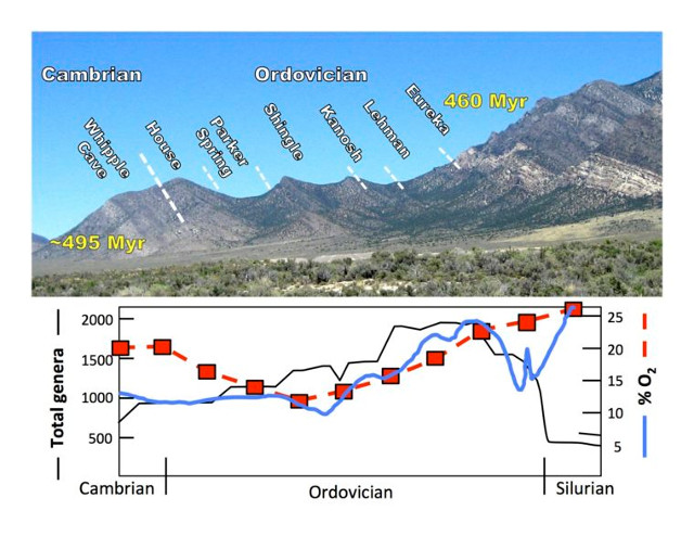 Aumento dell'ossigeno nella formazione Shingle Pass Limestone (Immagine cortesia Cole Edwards)