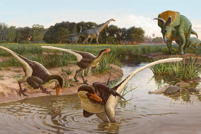 Concetto artistico di Dineobellator notohesperus (Immagine cortesia Sergey Krasovskiy)