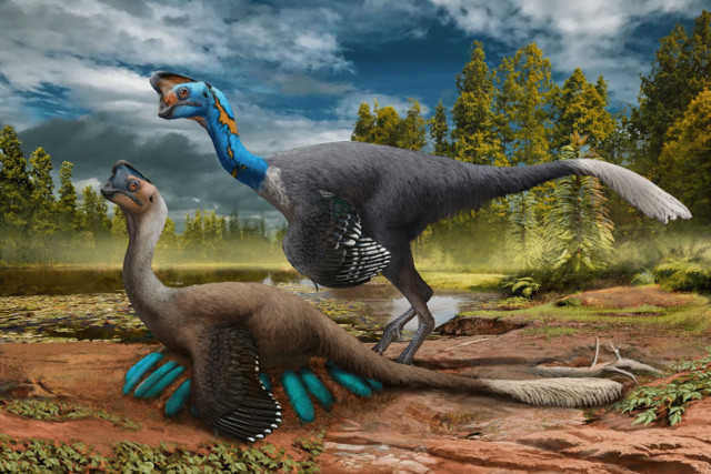 Ricostruzione artistica di oviraptoride mentre covava le sue uova (Immagine cortesia Zhao Chuang)