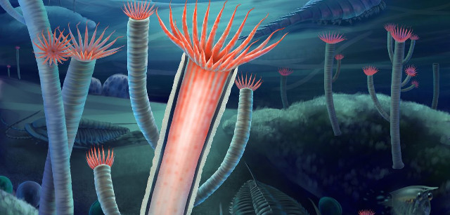 Ricostruzione artistica della Gangtoucunia aspera (Immagine cortesia Xiaodong Wang)